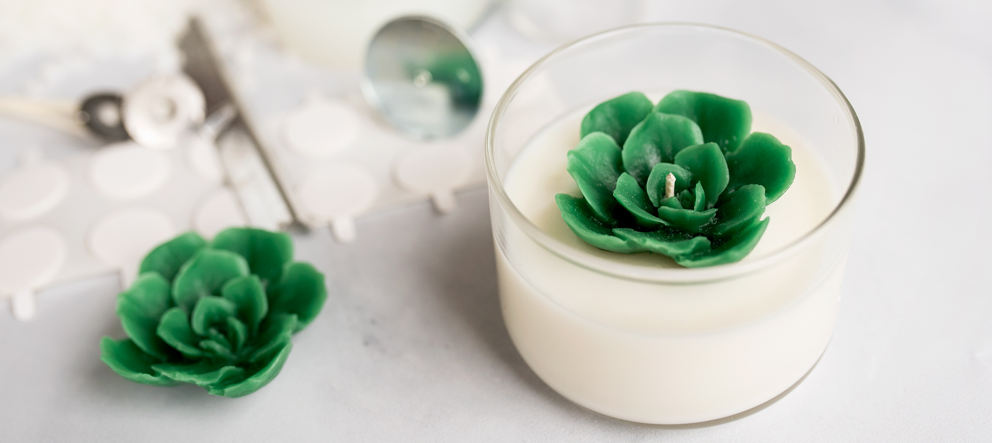Succulent soy wax candle in a mini tumbler container
